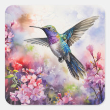 Hummingbird Garden