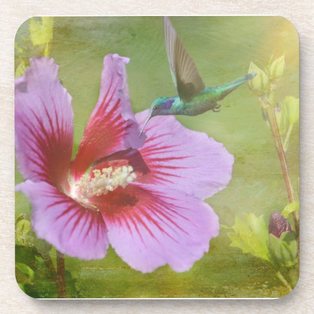 Hummingbird Gathering Nectar Plastic Coasters (Front)