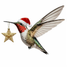 Hummingbird & Gold Star Bird Christmas Ornament