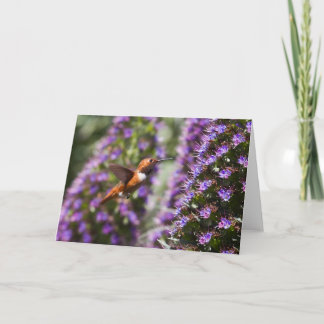 Hummingbird Greeting Card