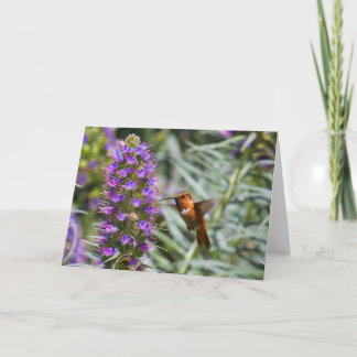 Hummingbird Greeting Card