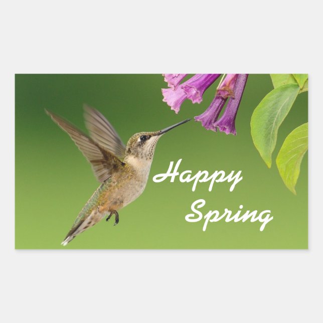 Hummingbird Happy Spring Rectangular Sticker (Front)