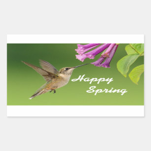 Hummingbird Happy Spring Rectangular Sticker