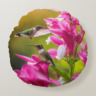 Hummingbird Harmony Pillow