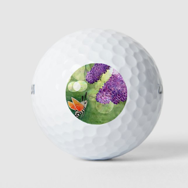 Hummingbird Hawk Moth and Lilacs Golf Balls (Front)