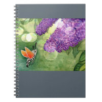Hummingbird Hawk Moth and Lilacs