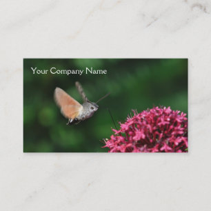 Hummingbird hawk-moth business card
