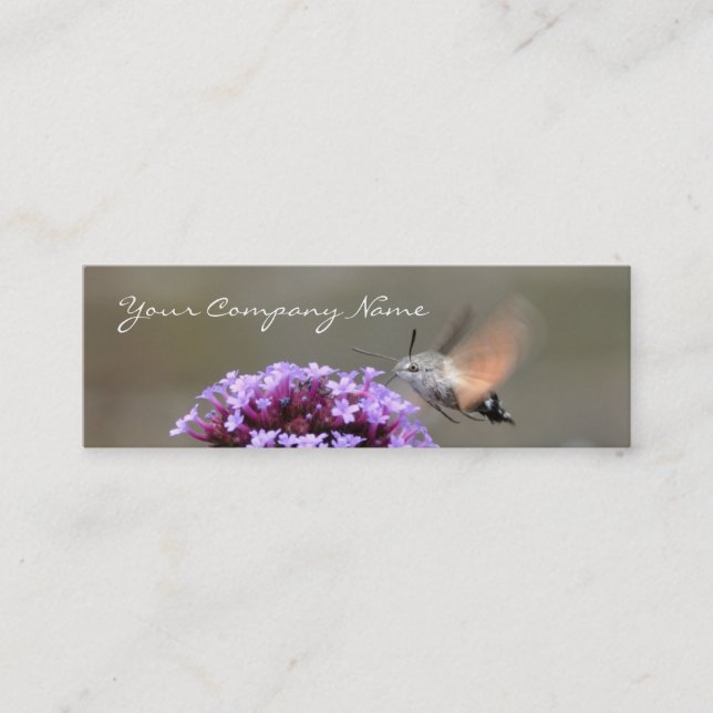 Hummingbird hawk-moth business card (Front)