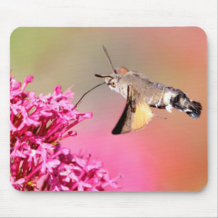 Hummingbird Hawk-moth butterfly in flight Metal  Mouse Mat
