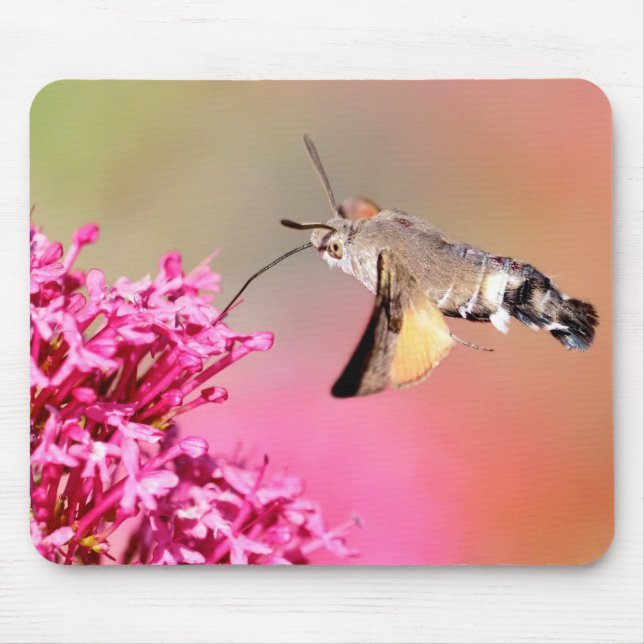 Hummingbird Hawk-moth butterfly in flight Metal  Mouse Mat (Front)