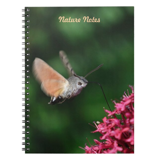 Hummingbird hawk-moth hovering notebook (Front)