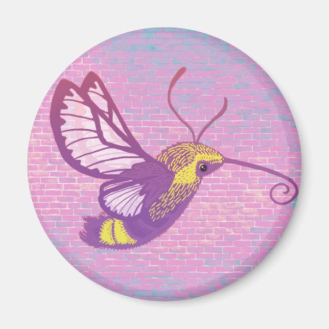 Hummingbird Hawk Moth Magnet (Front)