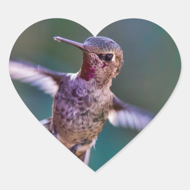 Hummingbird Heart Sticker (Front)