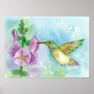 Hummingbird Hollyhock Garden Flowers Poster