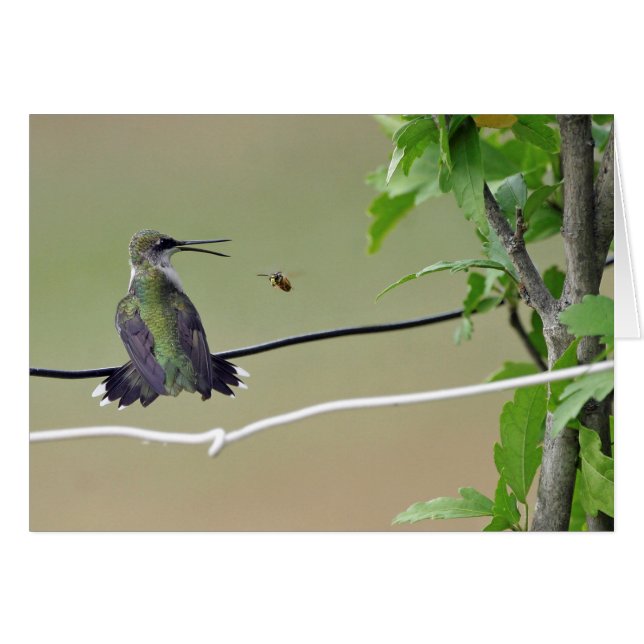 Hummingbird & Honey Bee (Front Horizontal)