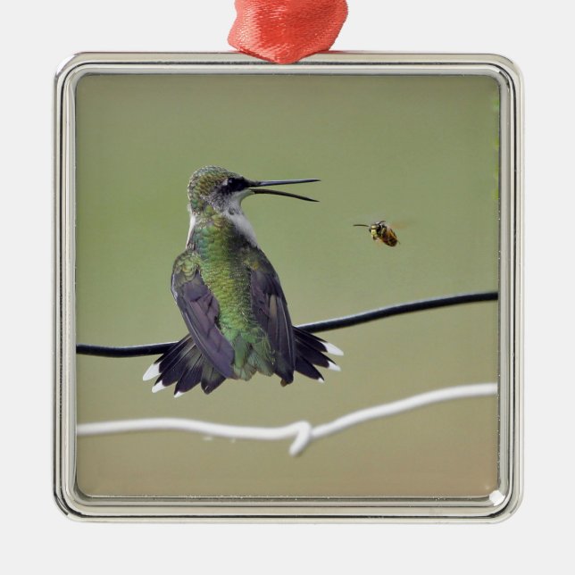 Hummingbird & Honey Bee Metal Tree Decoration (Front)