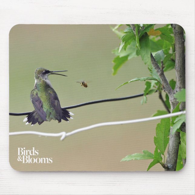 Hummingbird & Honey Bee Mouse Mat (Front)