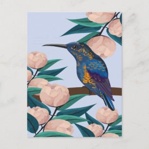 Hummingbird Illustration Postcard