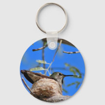 Hummingbird in a Nest Keychain