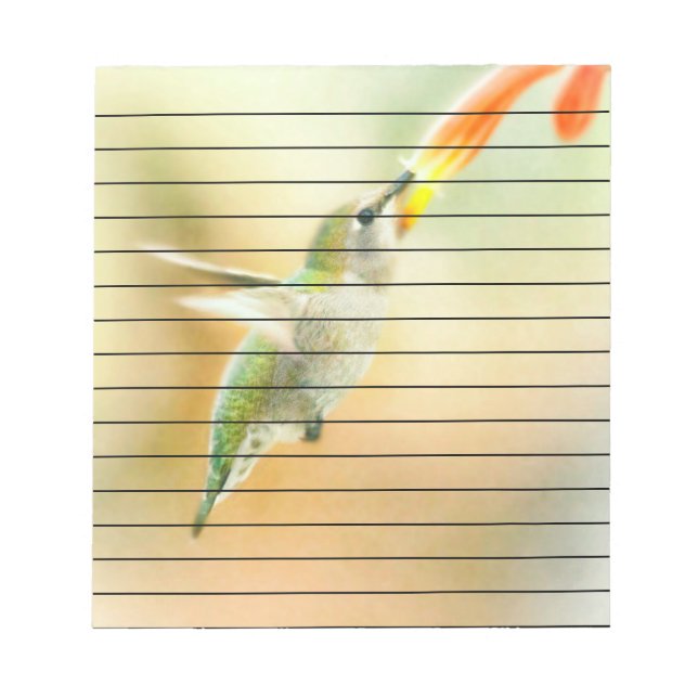 Hummingbird in Early Morning light Notepad (Front)