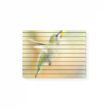 Hummingbird in Early Morning light