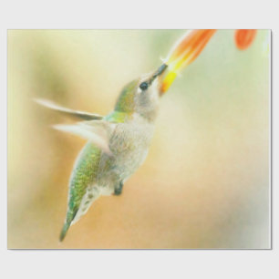 Hummingbird in Early Morning light Wrapping Paper