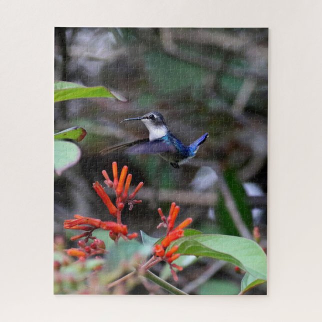 Hummingbird in Flight and Red Flowers Jigsaw Puzzle (Vertical)