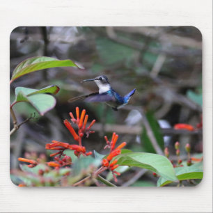 Hummingbird in Flight and Red Flowers Mouse Mat