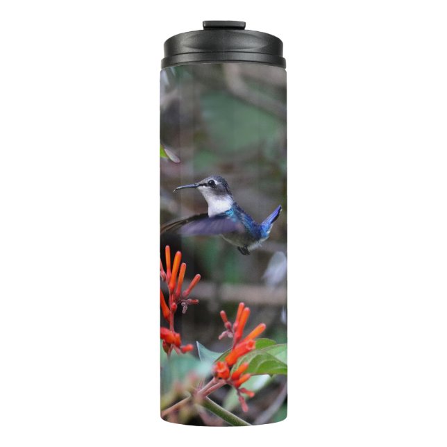 Hummingbird in Flight and Red Flowers Thermal Tumbler (Front)