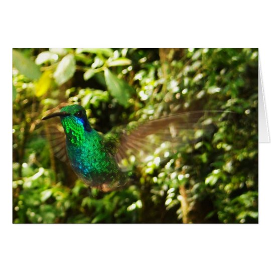 Hummingbird in Flight Card