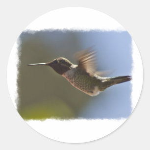 Hummingbird in Flight Classic Round Sticker