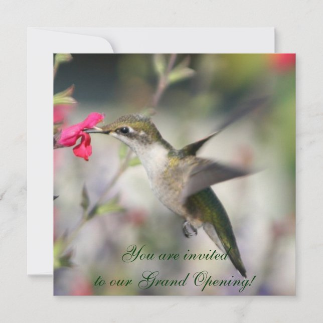 Hummingbird in flight invitation (Front)