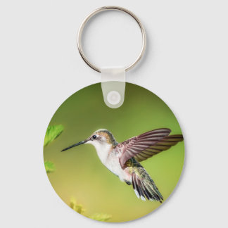 Hummingbird in flight key ring