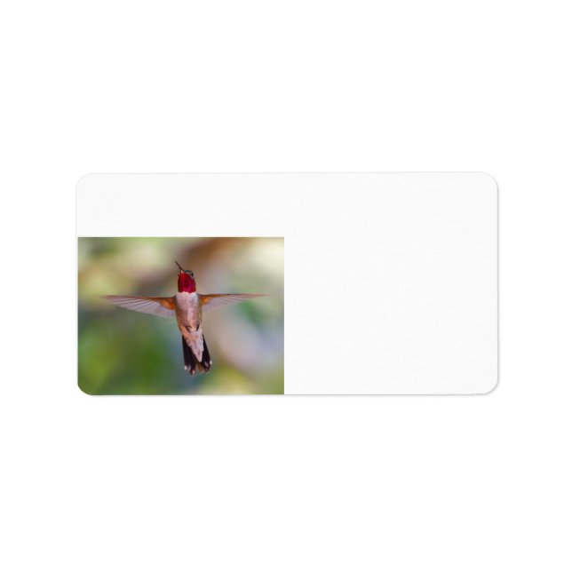 hummingbird in flight label (Front)