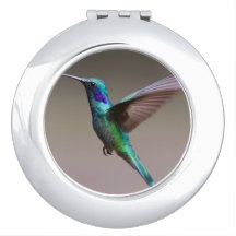 Hummingbird in Flight