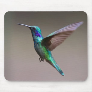 Hummingbird in Flight Mouse Mat