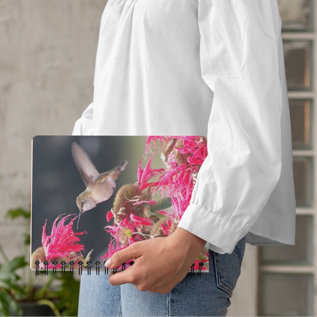 Hummingbird in Flight Photo Calendar | Planner (In Situ)