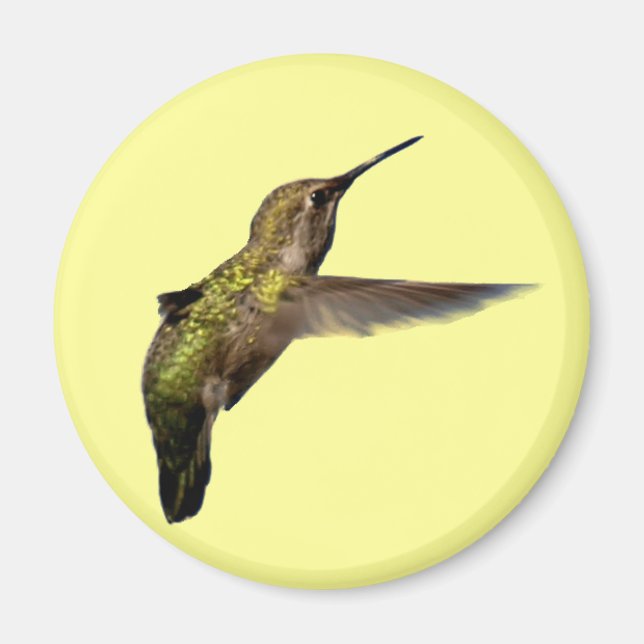 Hummingbird in Flight Round Magnet (Front)