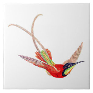 Hummingbird in Flight Tile