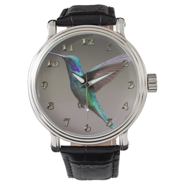 Hummingbird in Flight Watch (Front)