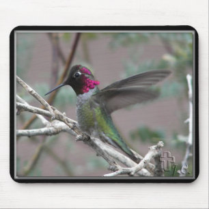 Hummingbird In My Backyard. Mouse Mat