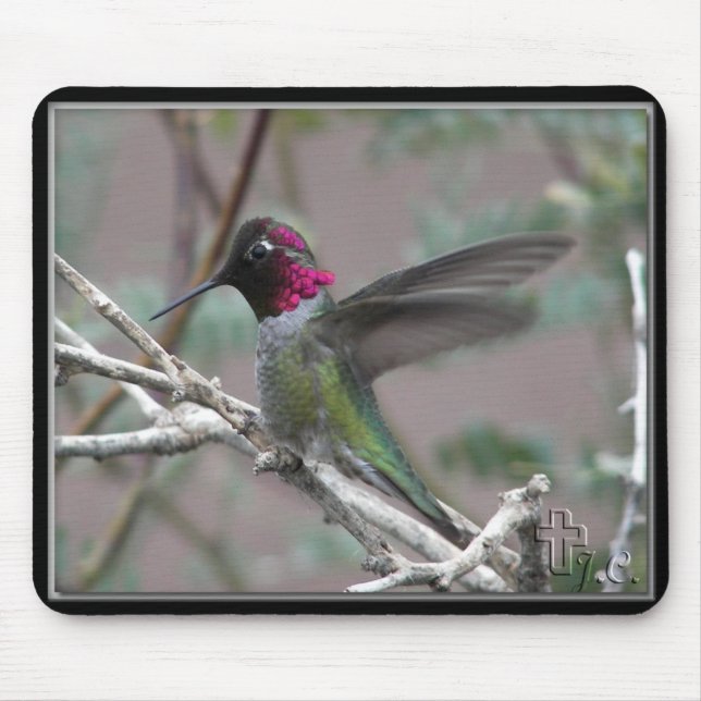 Hummingbird In My Backyard. Mouse Mat (Front)