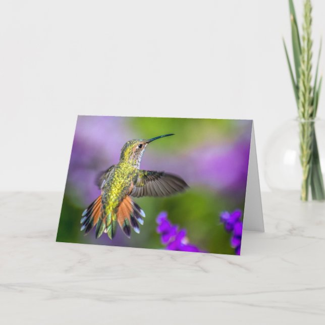 Hummingbird in Purple Flowers Card (Front)