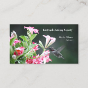 Hummingbird in red and white flowers business card