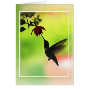 Hummingbird In Silhouette