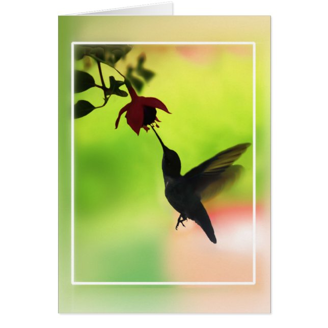 Hummingbird In Silhouette (Front)