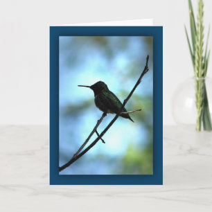 Hummingbird in Silhouette Card