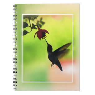 Hummingbird In Silhouette Notebook