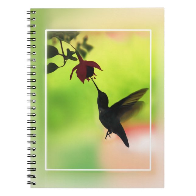 Hummingbird In Silhouette Notebook (Front)
