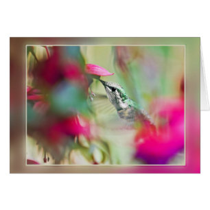 Hummingbird in Soft Fuchsia